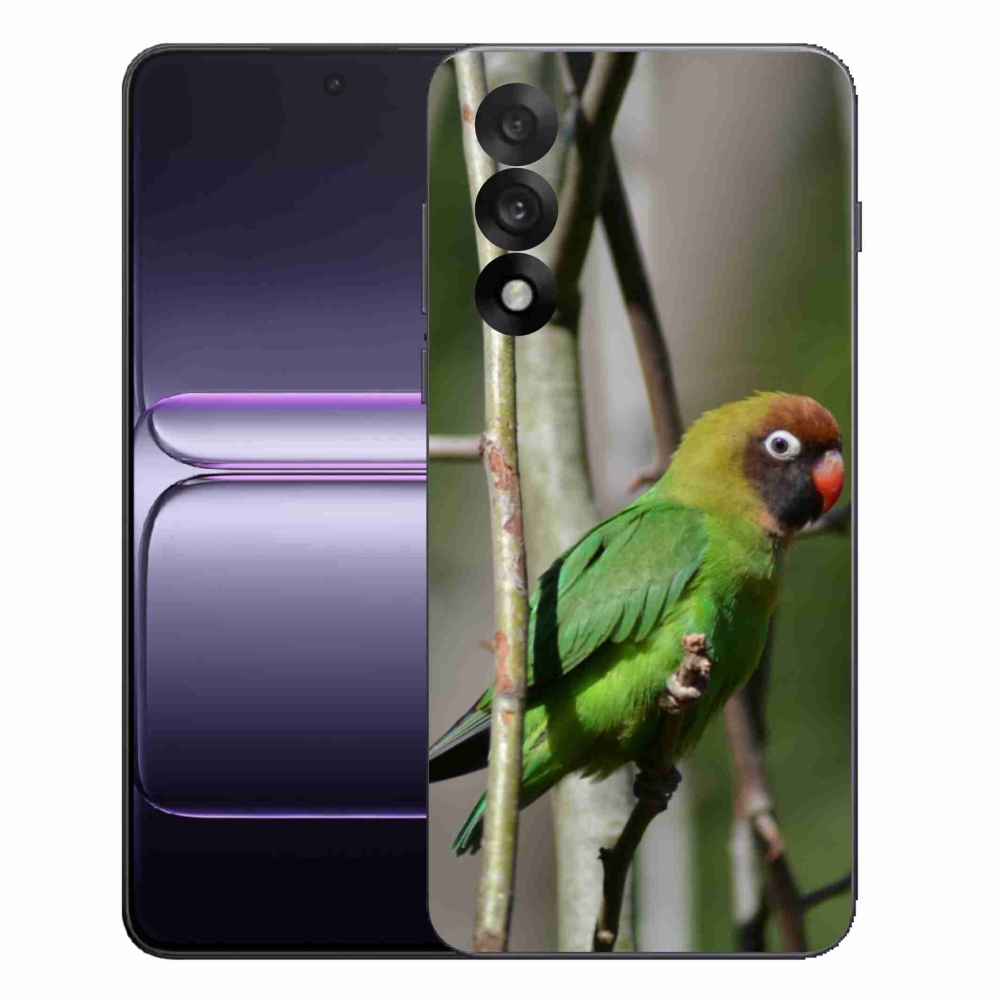 Gélový kryt mmCase na One Plus Nord 5 - papagáj agapornis