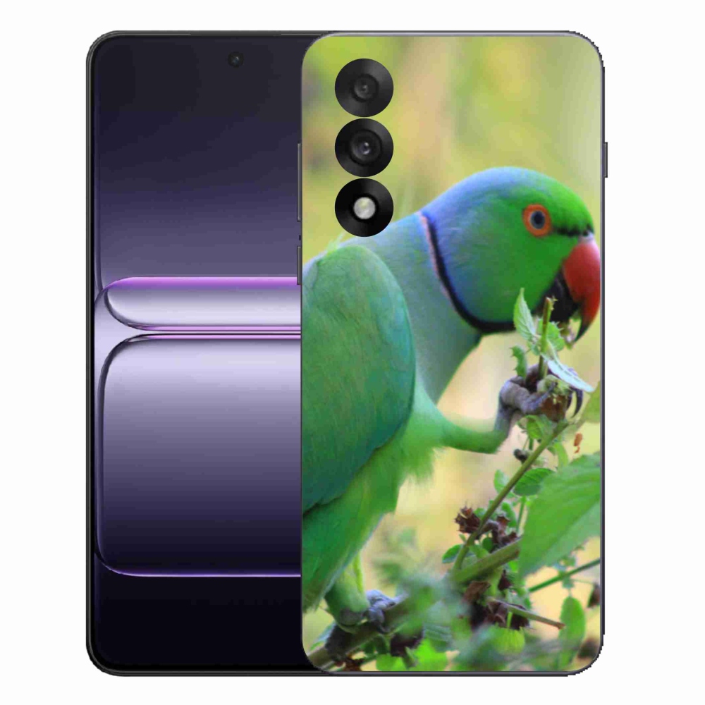 Gélový kryt mmCase na One Plus Nord 5 - papagáj Alexandr