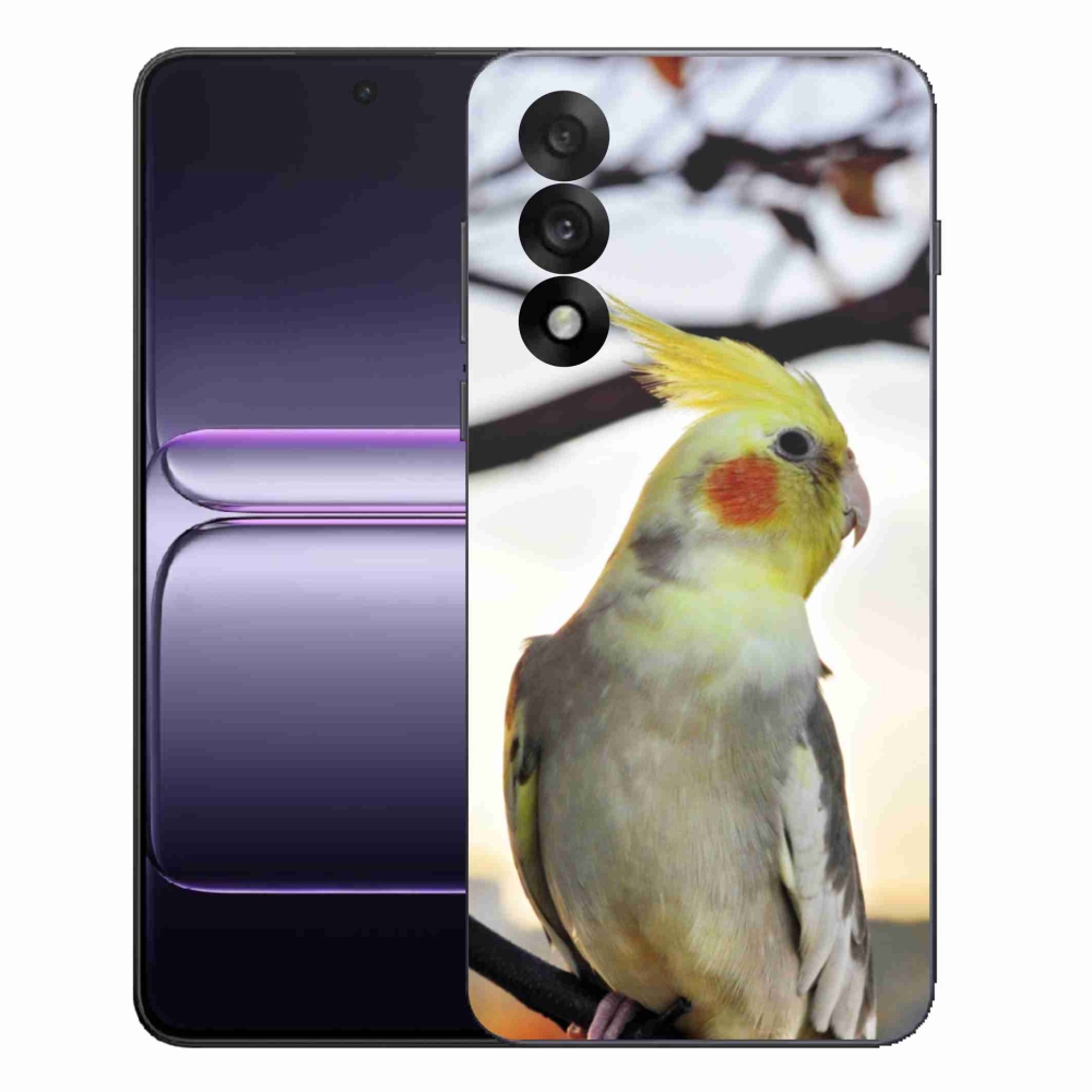 Gélový kryt mmCase na One Plus Nord 5 - papagáj korela