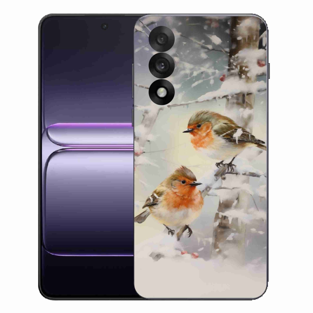 Gélový kryt mmCase na One Plus Nord 5 - vtáčiky v zime