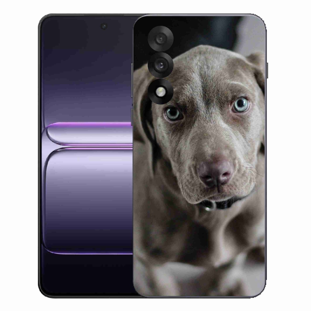 Gélový kryt mmCase na One Plus Nord 5 - weimarský stavač