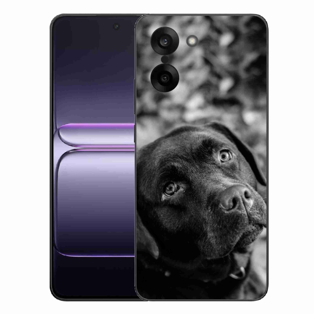 Gélový kryt mmCase na One Plus Nord CE5 - labrador
