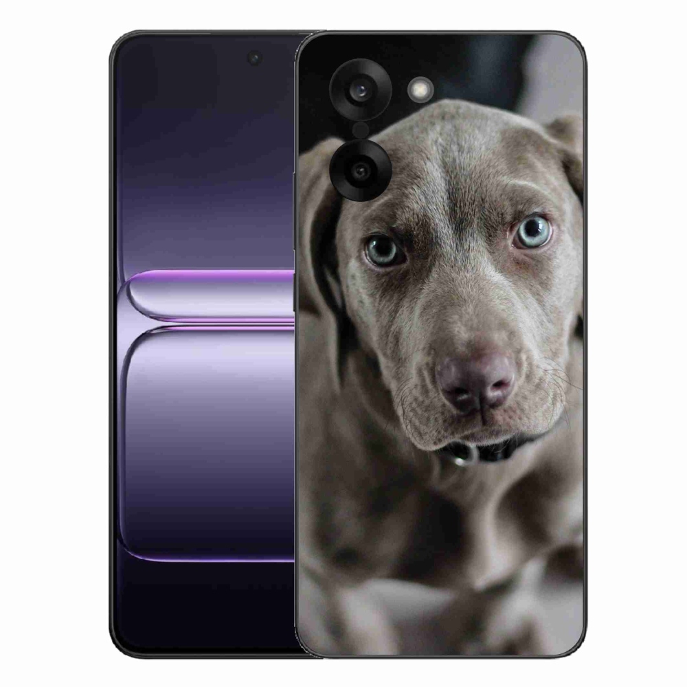 Gélový kryt mmCase na One Plus Nord CE5 - weimarský stavač