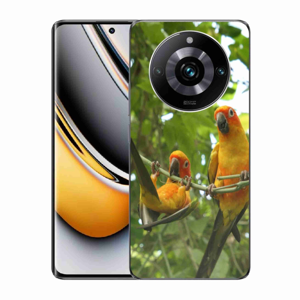 Gélový kryt mmCase na Realme 11 Pro 5G/11 Pro+ 5G - papagáje aratingy