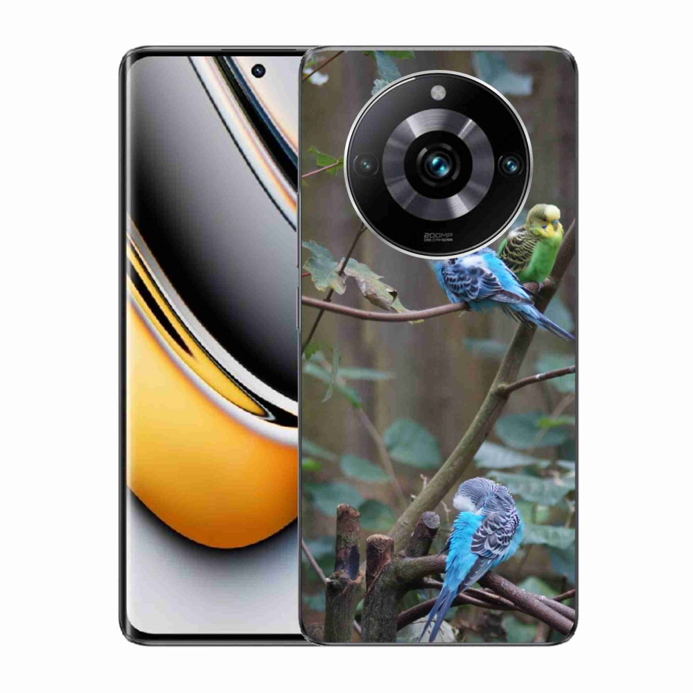 Gélový kryt mmCase na Realme 11 Pro 5G/11 Pro+ 5G - papagáje na vetve