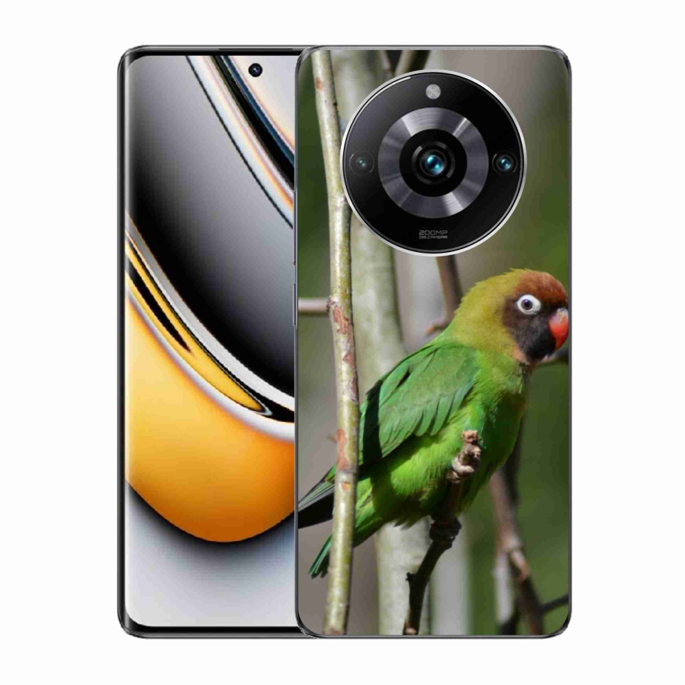 Gélový kryt mmCase na Realme 11 Pro 5G/11 Pro+ 5G - papagáj agapornis