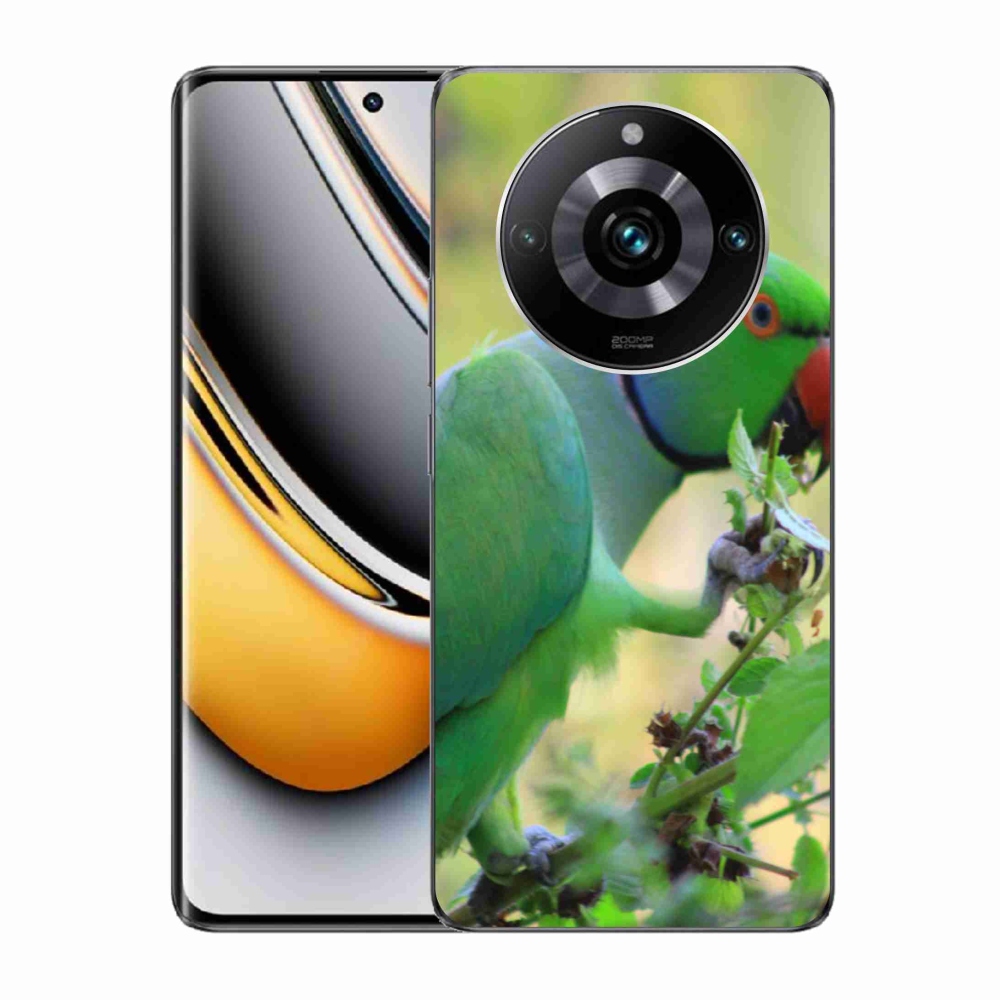 Gélový kryt mmCase na Realme 11 Pro 5G/11 Pro+ 5G - papagáj Alexandr