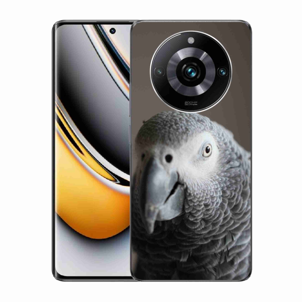 Gélový kryt mmCase na Realme 11 Pro 5G/11 Pro+ 5G - papagáj žako 2
