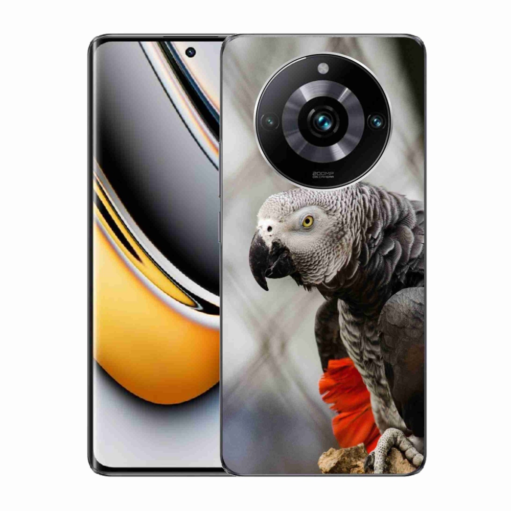 Gélový kryt mmCase na Realme 11 Pro 5G/11 Pro+ 5G - papagáj žako 3