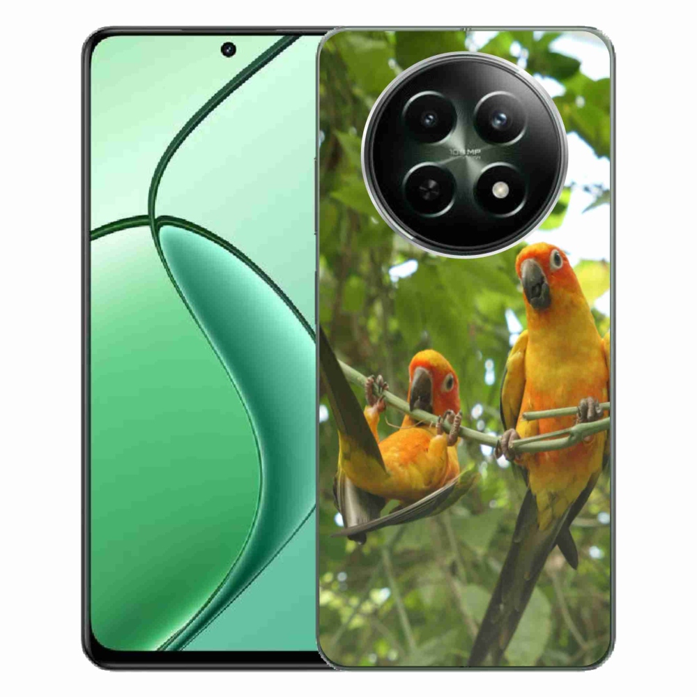 Gélový kryt mmCase na Realme 12 5G/12x 5G - papagáje aratingy