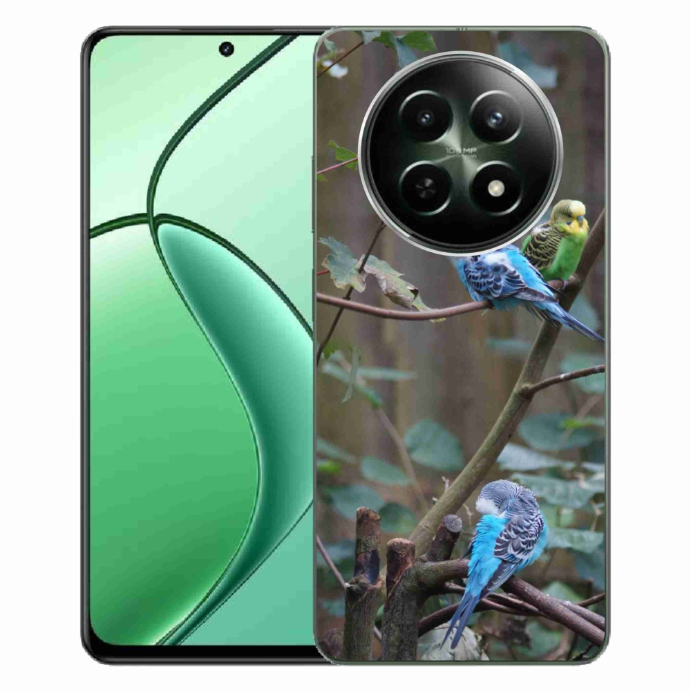 Gélový kryt mmCase na Realme 12 5G/12x 5G - papagáje na vetve