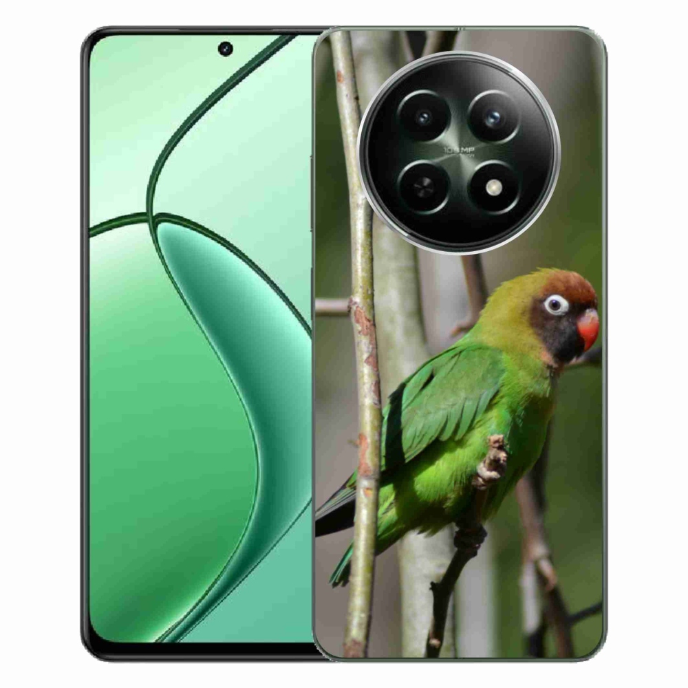 Gélový kryt mmCase na Realme 12 5G/12x 5G - papagáj agapornis