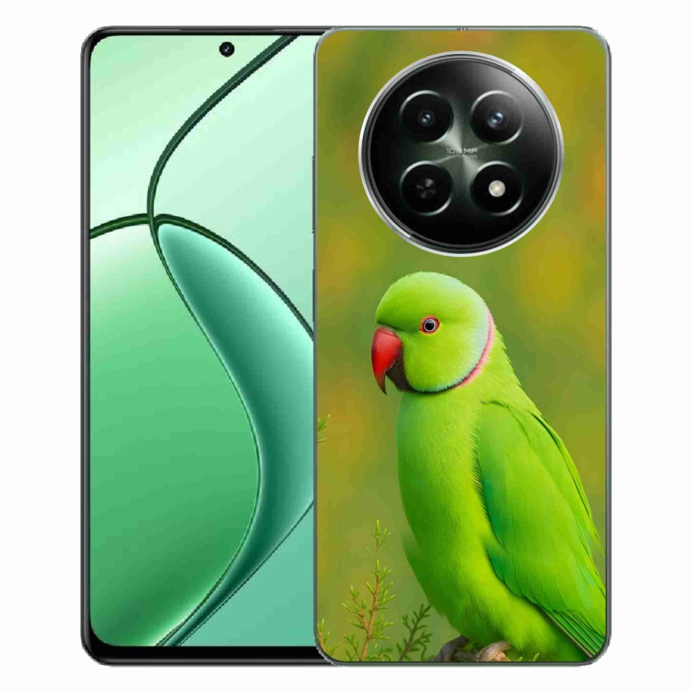 Gélový kryt mmCase na Realme 12 5G/12x 5G - papagáj Alexandr 2