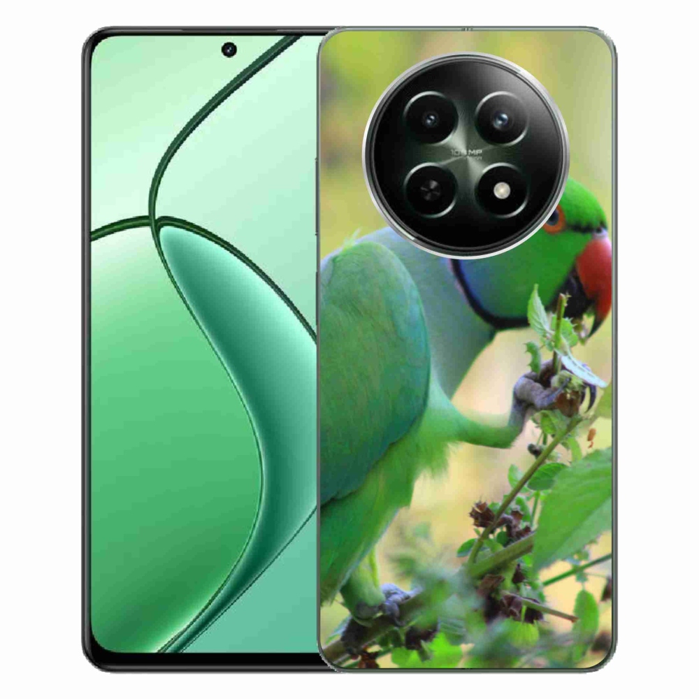 Gélový kryt mmCase na Realme 12 5G/12x 5G - papagáj Alexandr