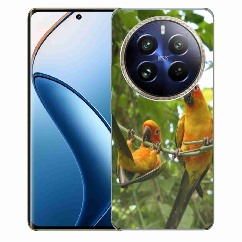 Gélový kryt mmCase na Realme 12 Pro 5G/12 Pro+ 5G - papagáje aratingy