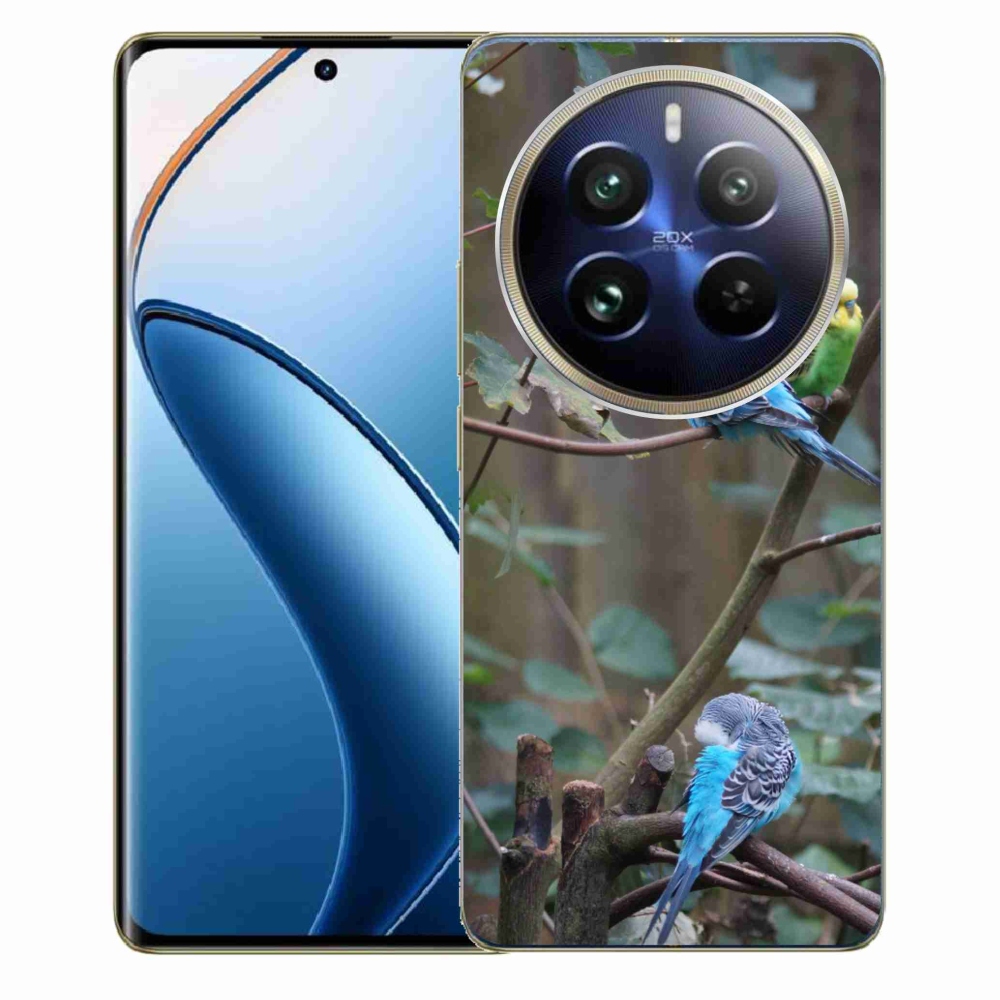 Gélový kryt mmCase na Realme 12 Pro 5G/12 Pro+ 5G - papagáje na vetve