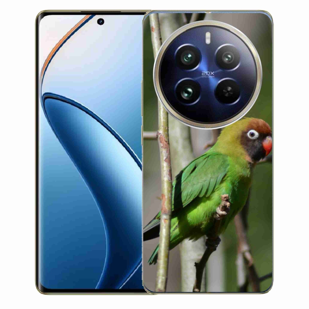 Gélový kryt mmCase na Realme 12 Pro 5G/12 Pro+ 5G - papagáj agapornis