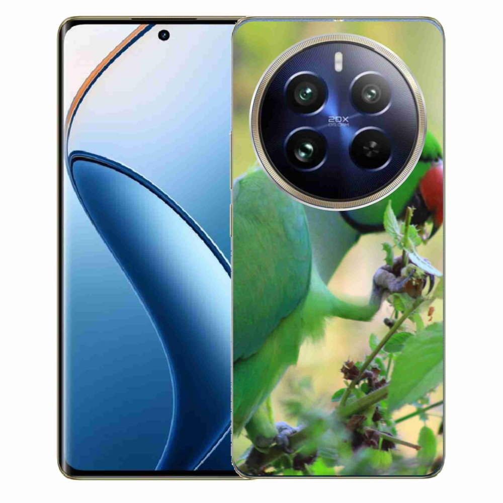Gélový kryt mmCase na Realme 12 Pro 5G/12 Pro+ 5G - papagáj Alexandr