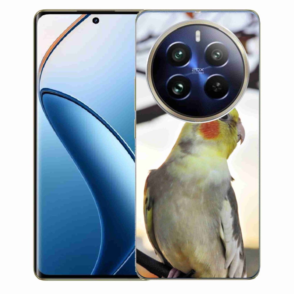Gélový kryt mmCase na Realme 12 Pro 5G/12 Pro+ 5G - papagáj korela