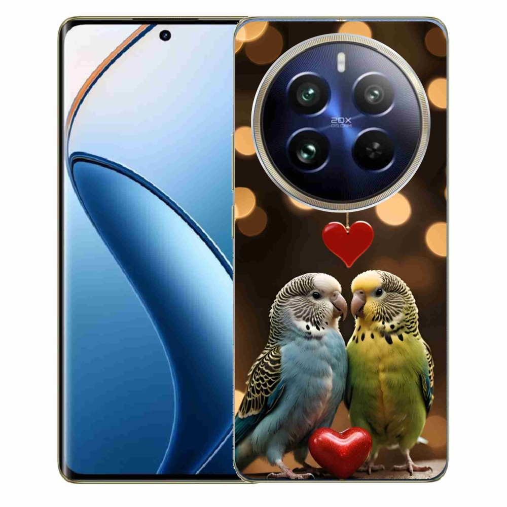 Gélový kryt mmCase na Realme 12 Pro 5G/12 Pro+ 5G - zamilovaní papagáje