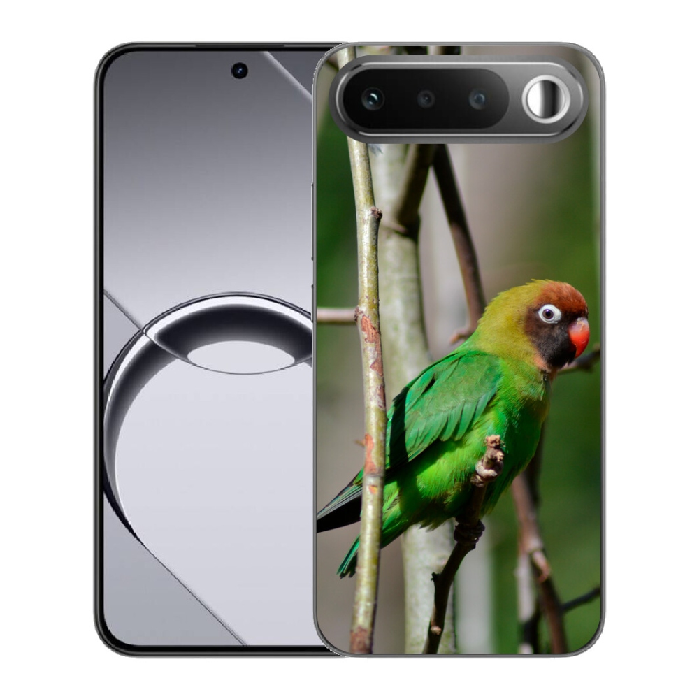Gélový obal mmCase pre Realme 16 5G – papagáj agapornis