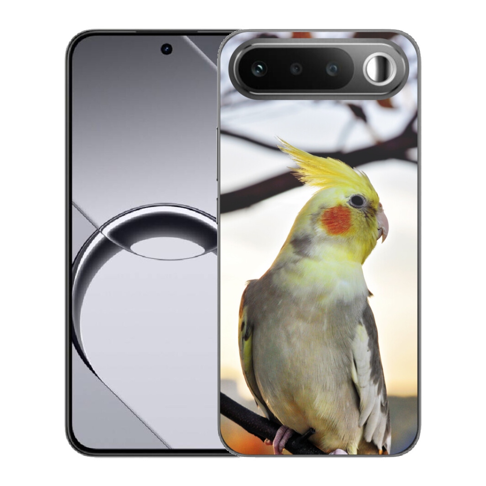 Gélový obal mmCase pre Realme 16 5G – papagáj korela