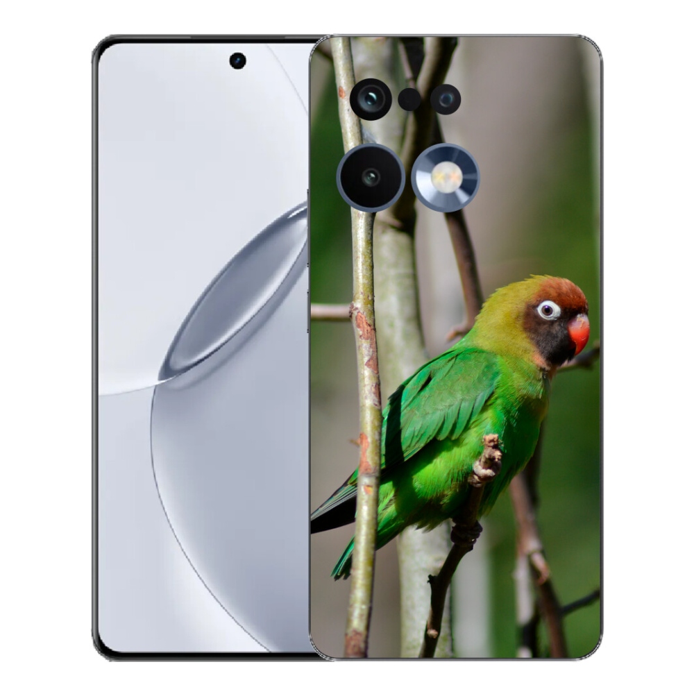 Gélový kryt mmCase na Realme 16 Pro+ - papagáj agapornis