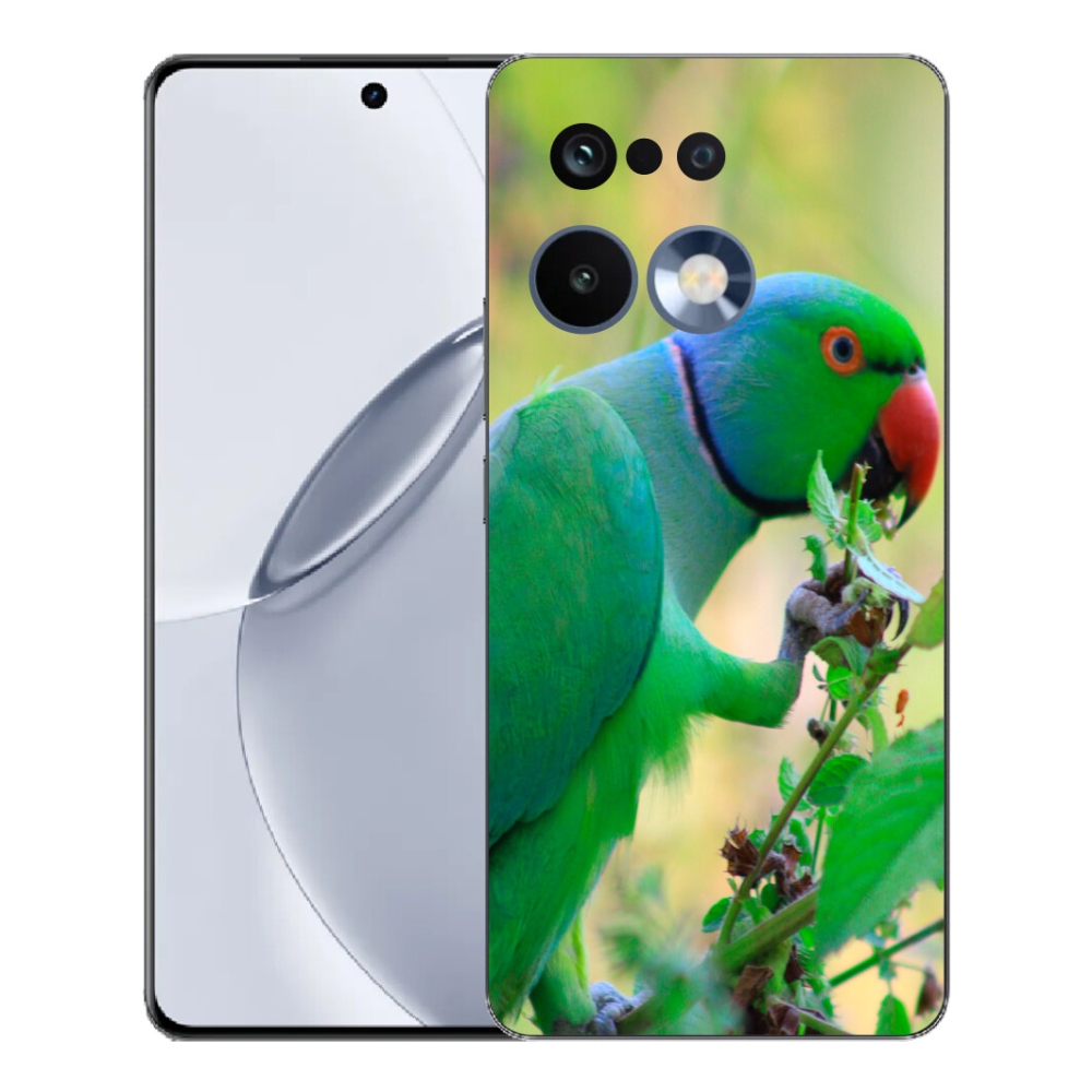 Gélový kryt mmCase na Realme 16 Pro+ - papagáj Alexandr