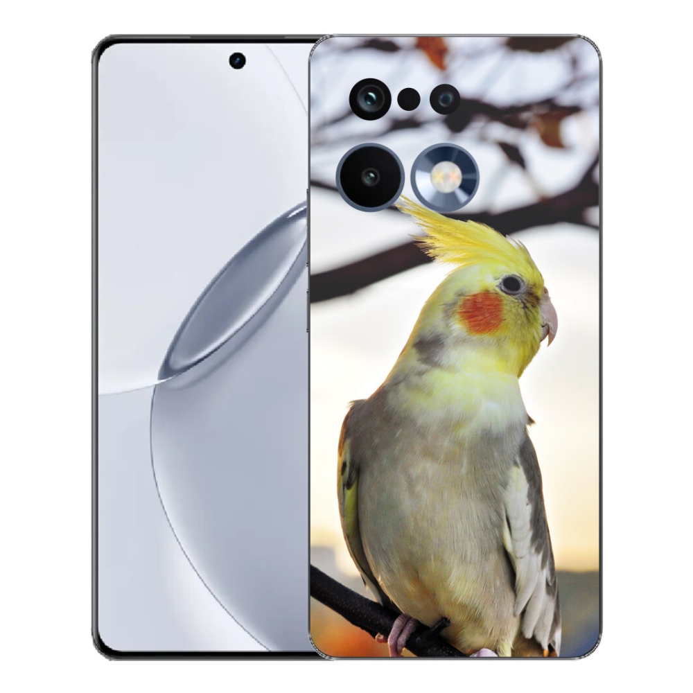 Gélový kryt mmCase na Realme 16 Pro+ - papagáj korela