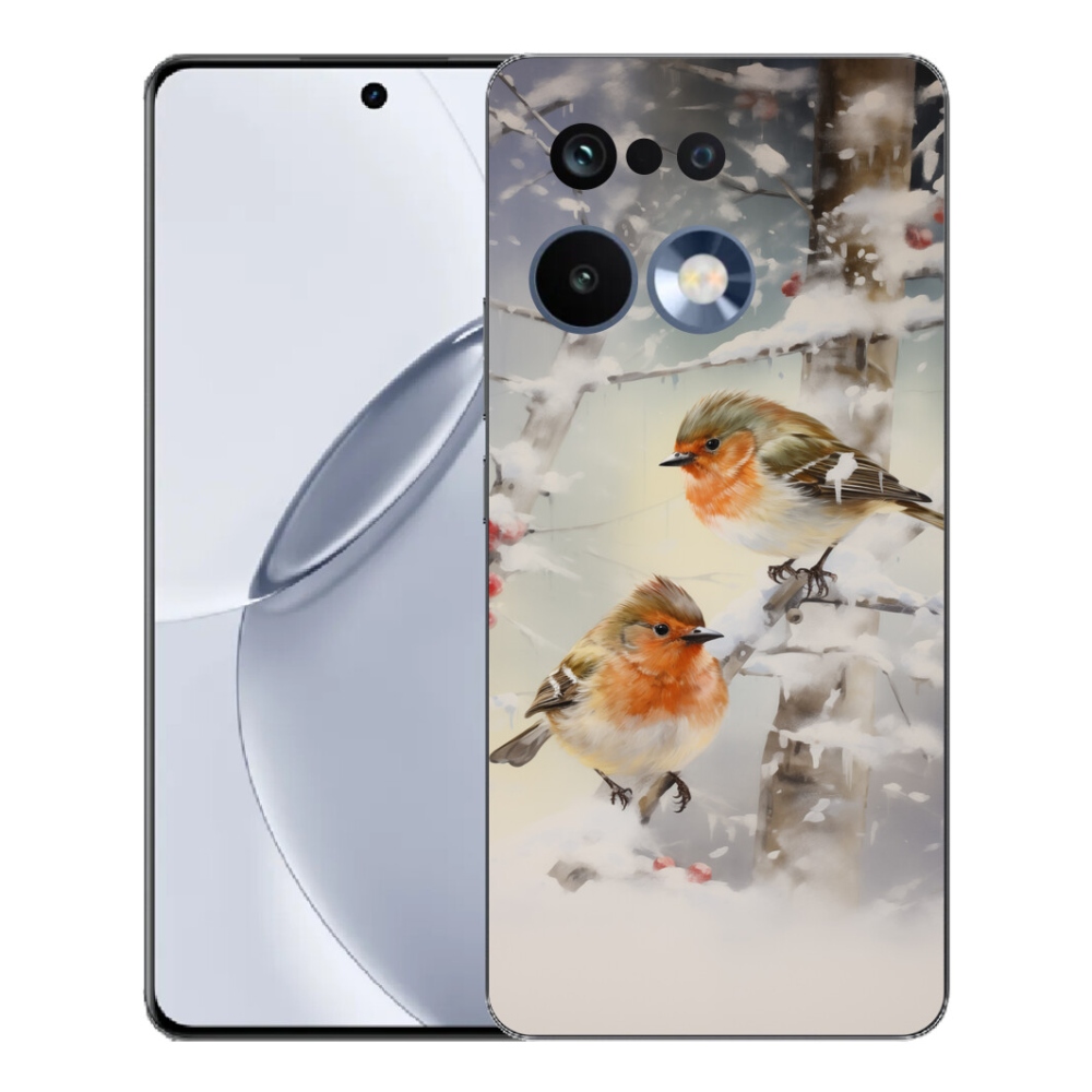 Gélový kryt mmCase na Realme 16 Pro+ - vtáčiky v zime