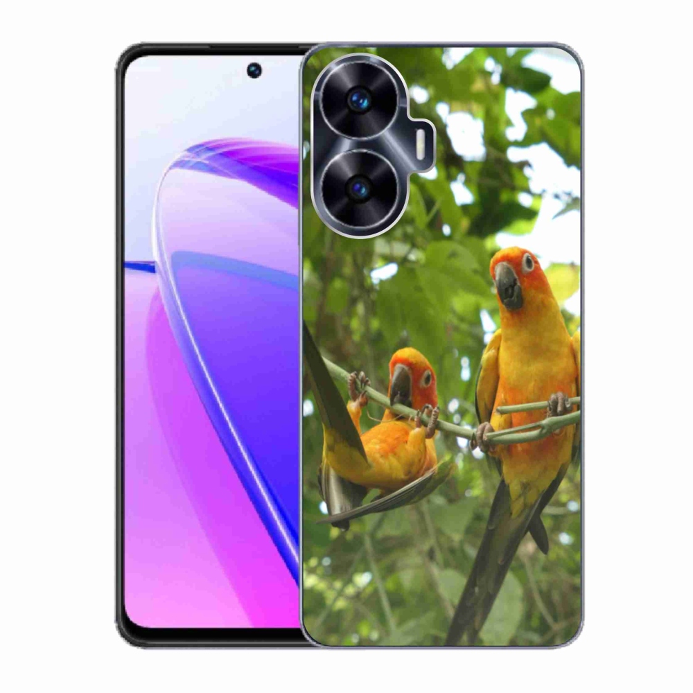 Gélový kryt mmCase na Realme C55 - papagáje aratingy