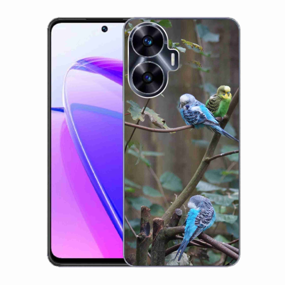 Gélový kryt mmCase na Realme C55 - papagáje na vetve