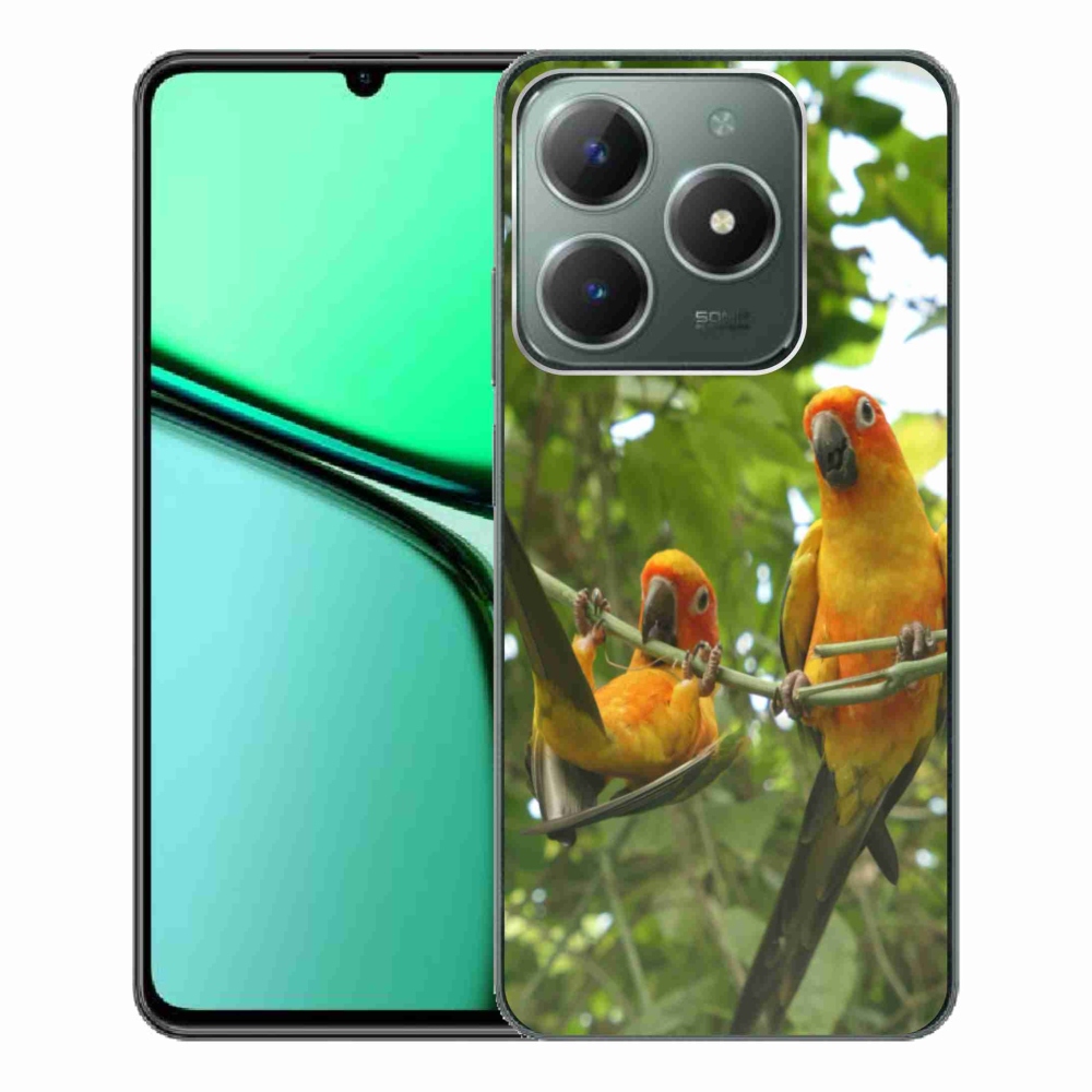 Gélový kryt mmCase na Realme C61 - papagáje aratingy