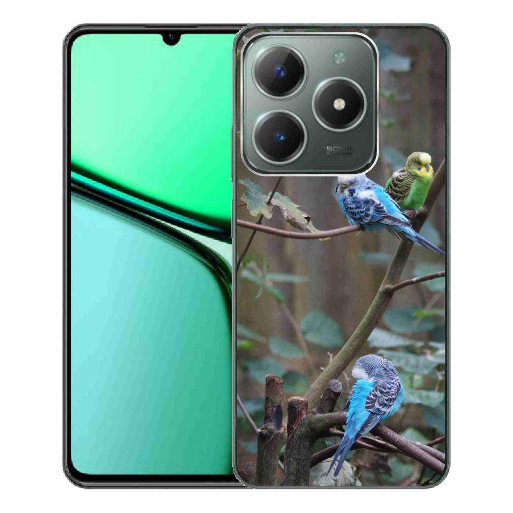Gélový kryt mmCase na Realme C61 - papagáje na vetve