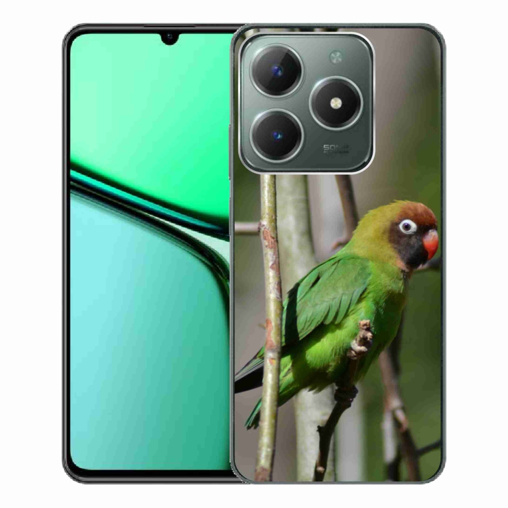 Gélový kryt mmCase na Realme C61 - papagáj agapornis