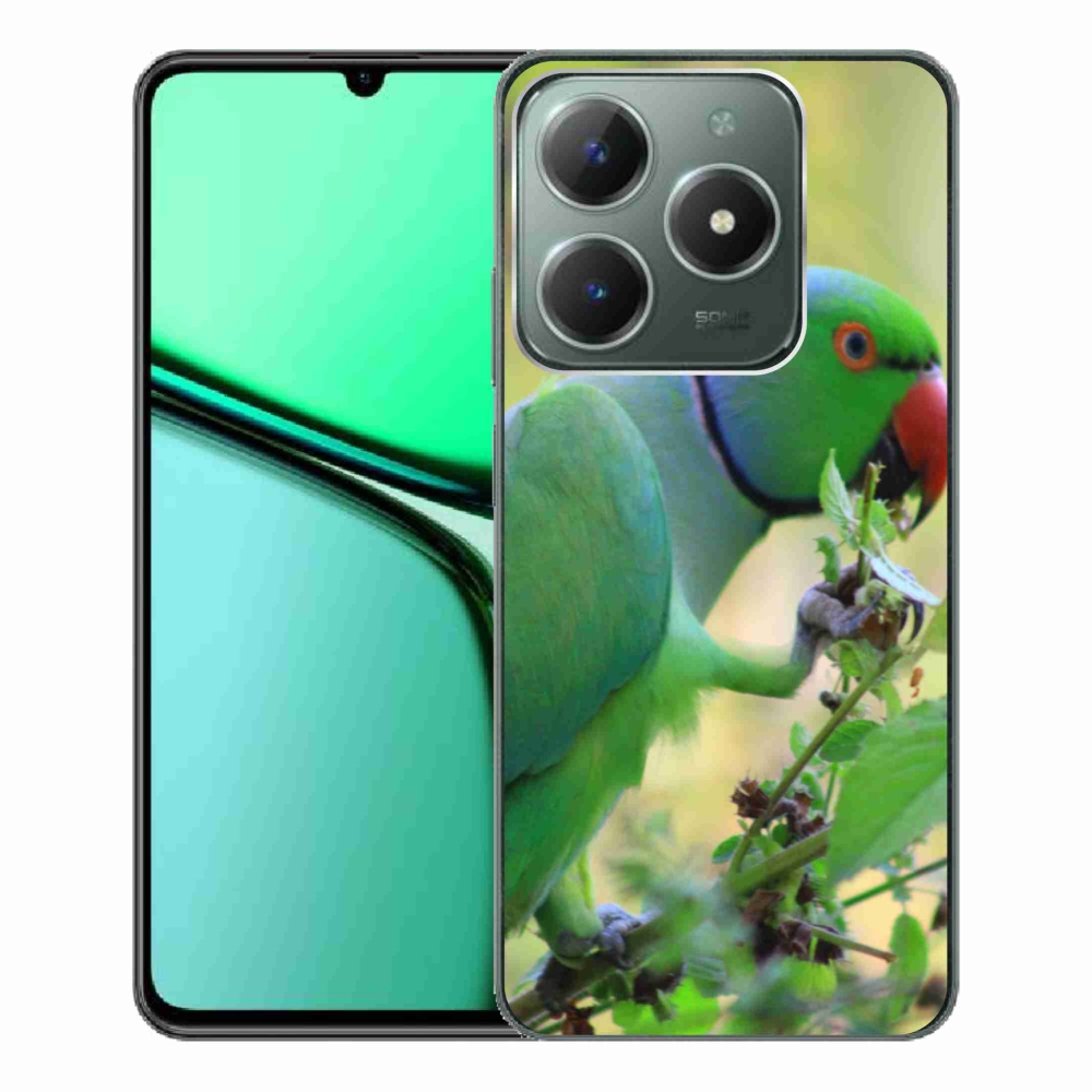 Gélový kryt mmCase na Realme C61 - papagáj Alexandr