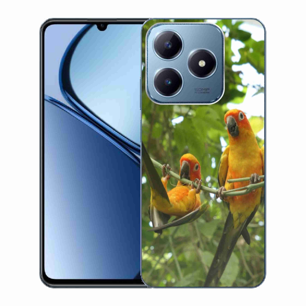 Gélový kryt mmCase na Realme C63 - papagáje aratingy