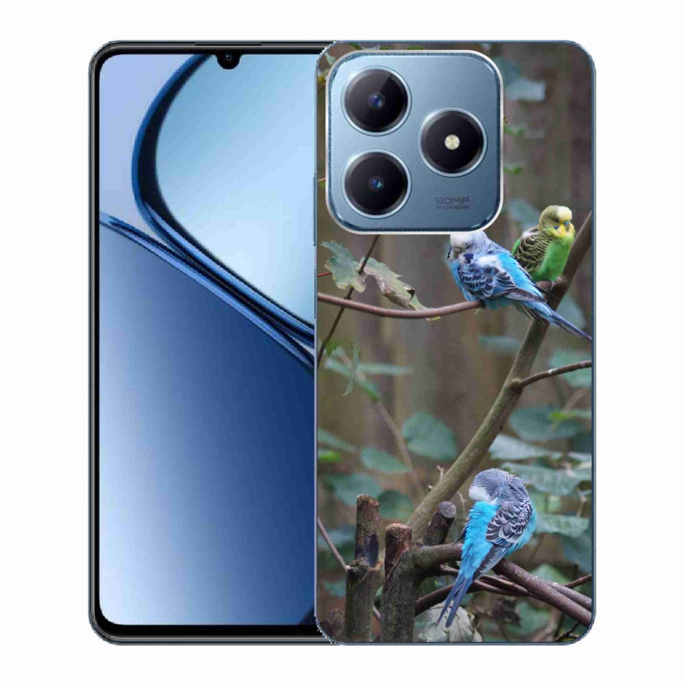 Gélový kryt mmCase na Realme C63 - papagáje na vetve