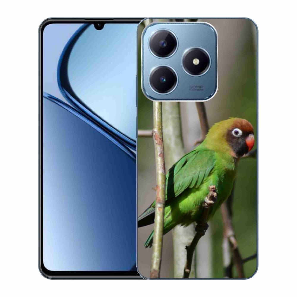 Gélový kryt mmCase na Realme C63 - papagáj agapornis