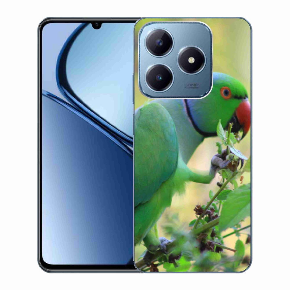 Gélový kryt mmCase na Realme C63 - papagáj alender