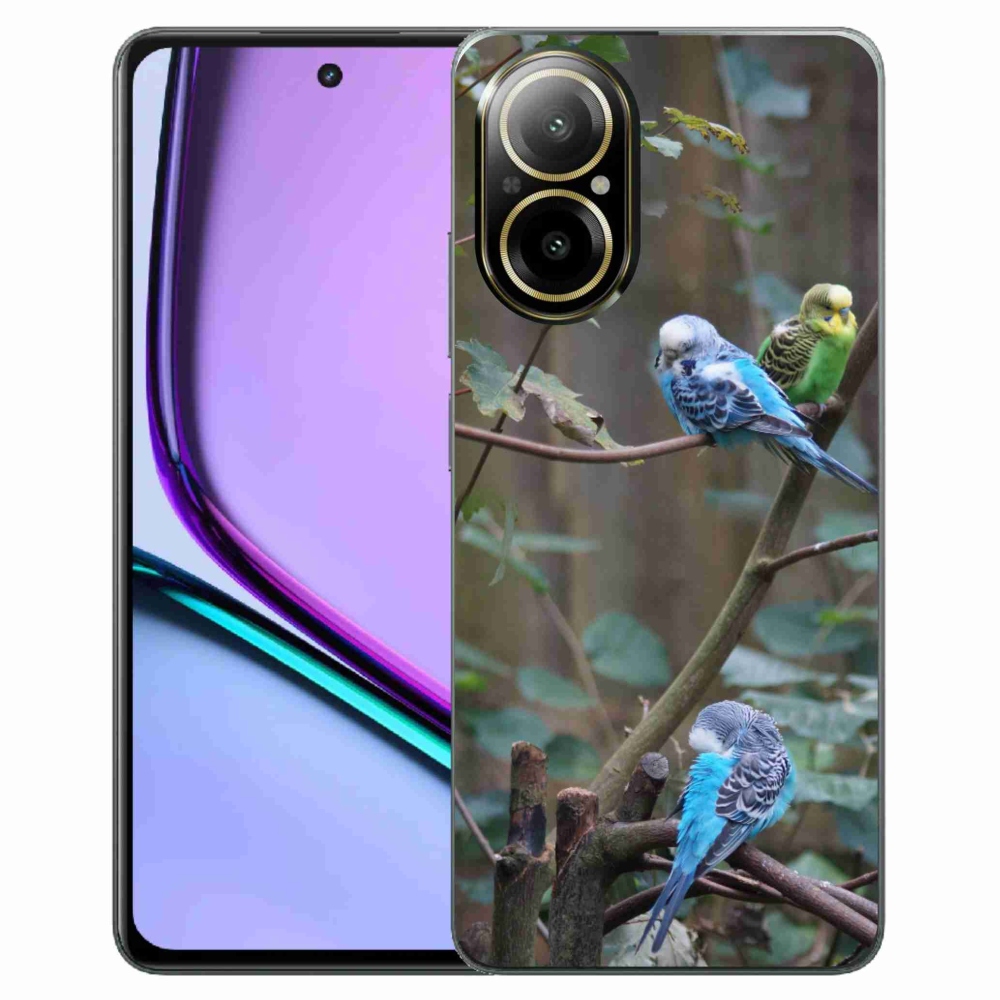 Gélový kryt mmCase na Realme C67 - papagáje na vetve