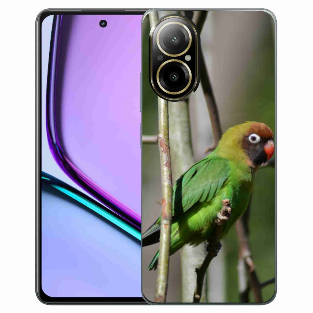 Gélový kryt mmCase na Realme C67 - papagáj agapornis