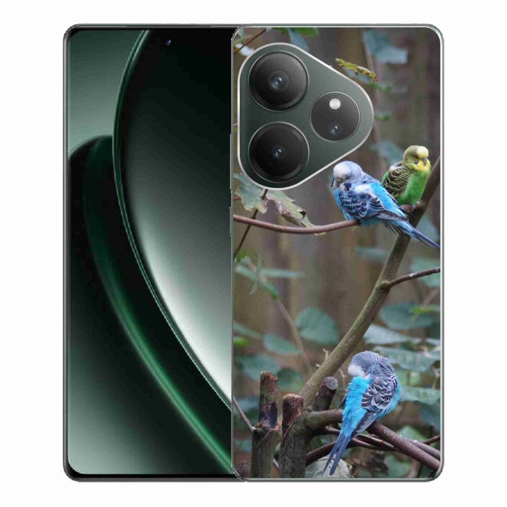 Gélový kryt mmCase na Realme GT 6 5G/GT 6T 5G - papagáje na vetve