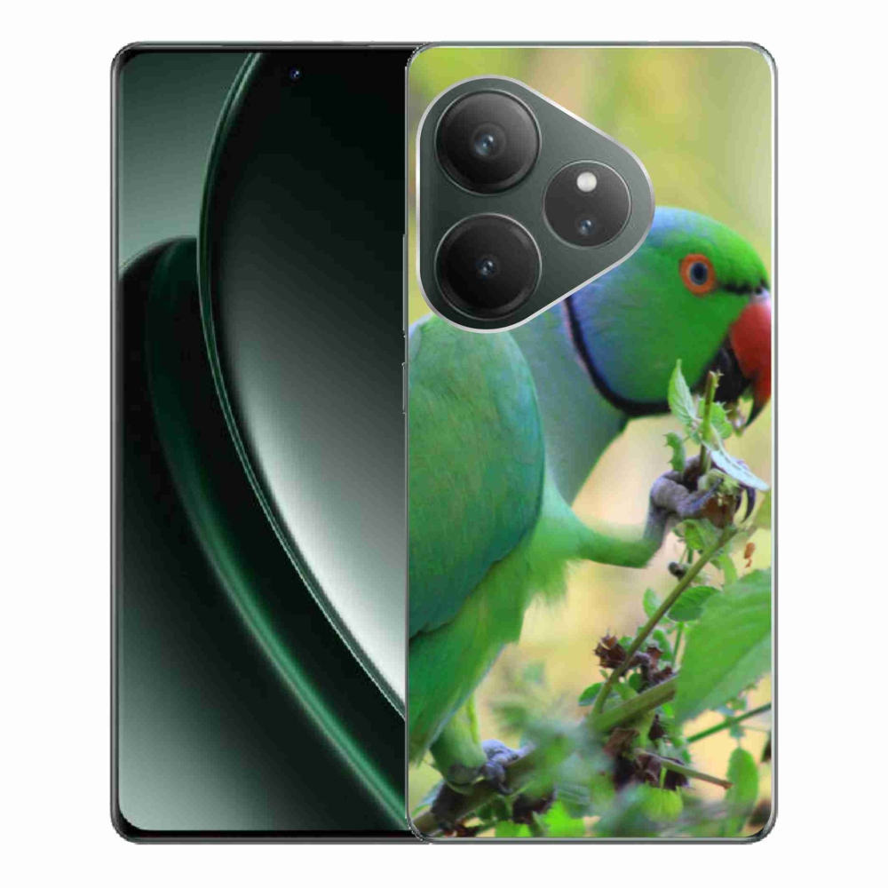 Gélový kryt mmCase na Realme GT 6 5G/GT 6T 5G - papagáj Alexandr