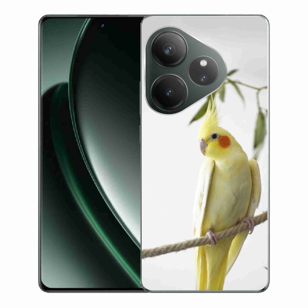 Gélový kryt mmCase na Realme GT 6 5G/GT 6T 5G - papagáj korela chocholatá