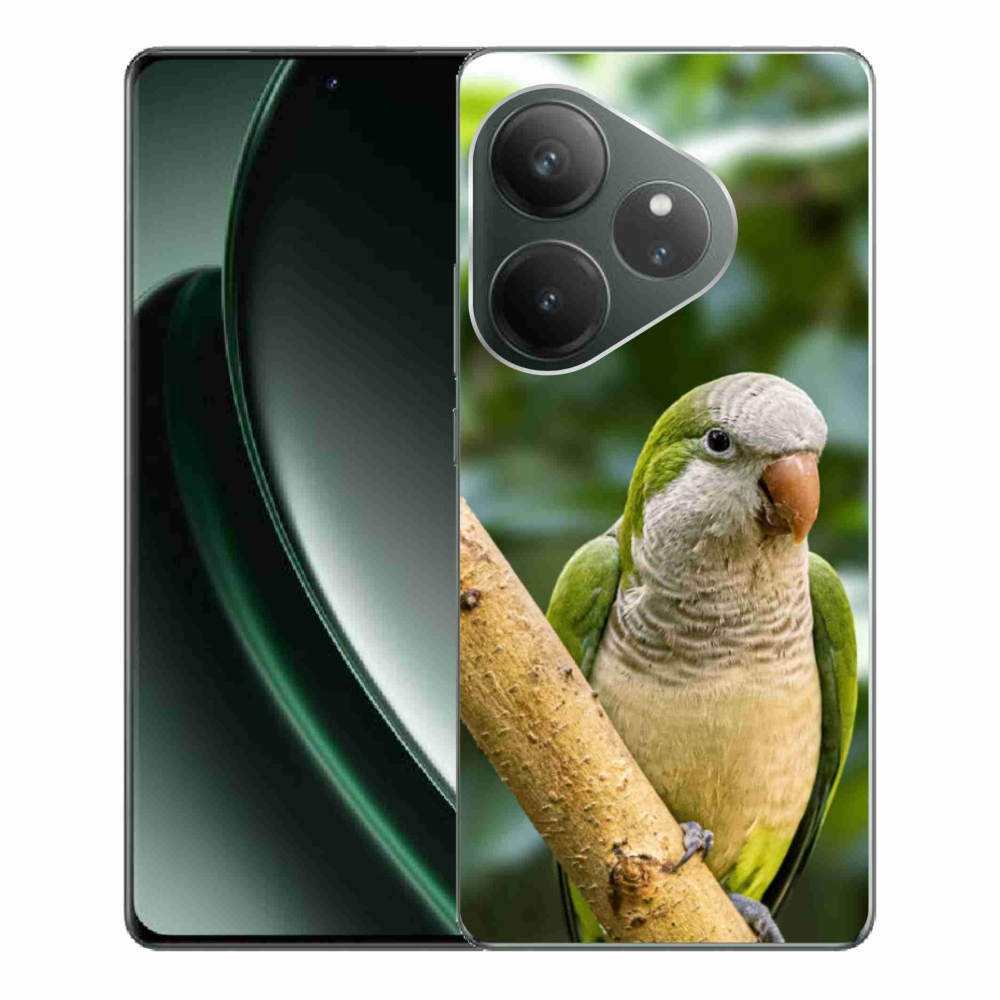 Gélový kryt mmCase na Realme GT 6 5G/GT 6T 5G - papagáj mníšok
