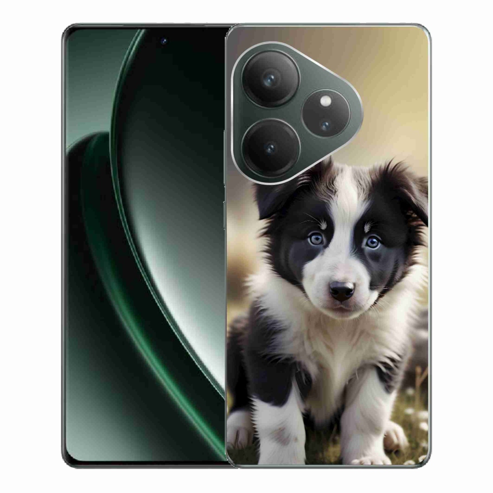 Gélový kryt mmCase na Realme GT 6 5G/GT 6T 5G - roztomilá border kólia