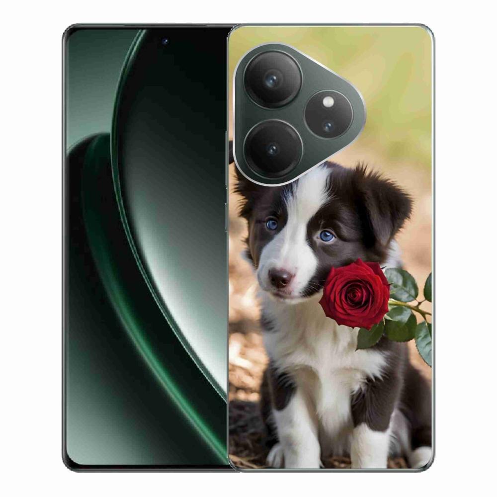 Gélový kryt mmCase na Realme GT 6 5G/GT 6T 5G - roztomilá border kólia s ružou