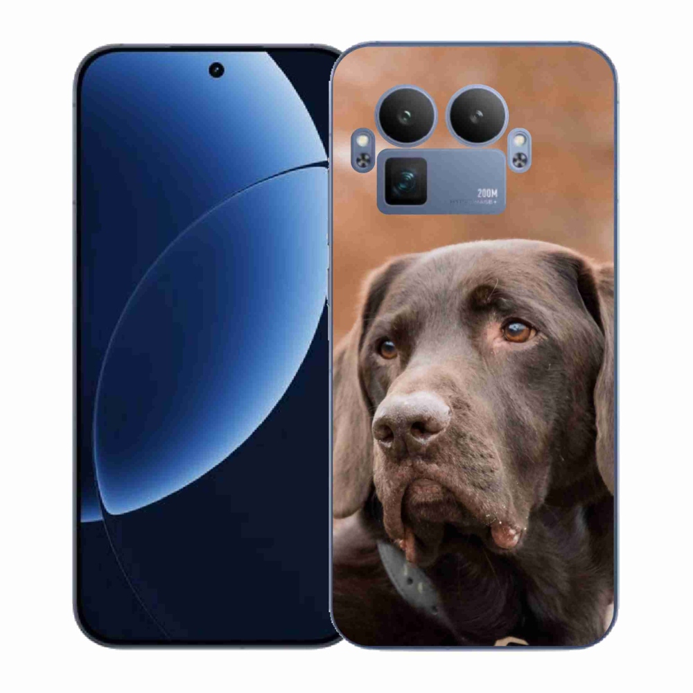 Gélový kryt mmCase na Realme GT 8 Pro - hnedý labrador