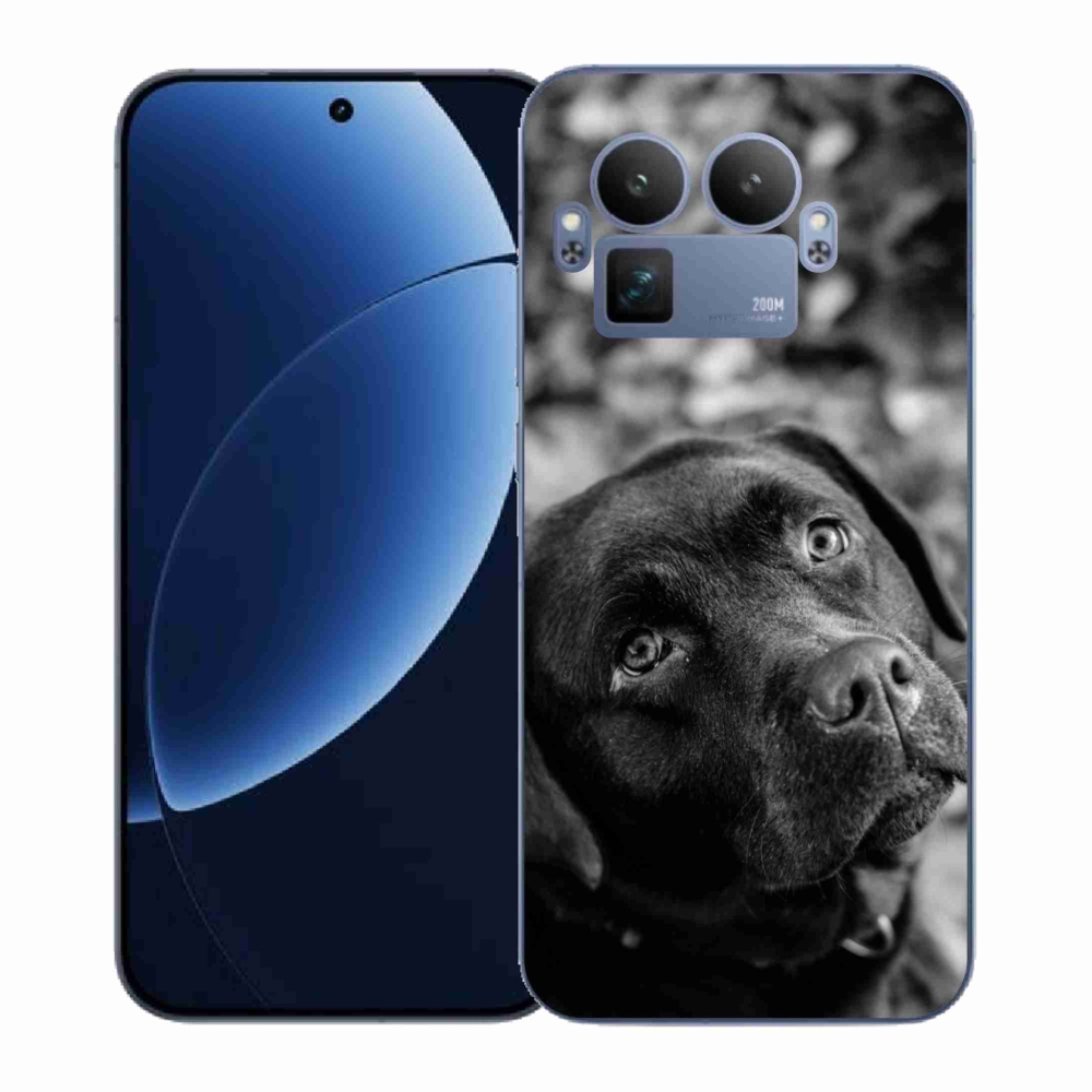 Gélový kryt mmCase na Realme GT 8 Pro - labrador